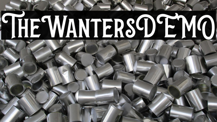 TheWantersDEMO Example 3