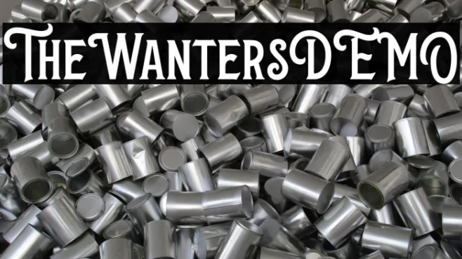 TheWantersDEMO Example 3