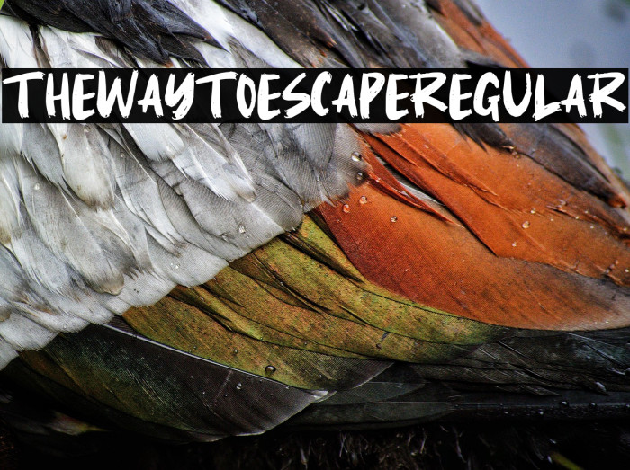 TheWayToEscapeRegular Example 1