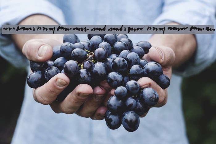 TheWrittenWord Example 3