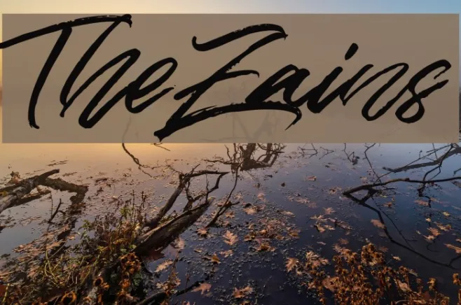 TheZains Example 2