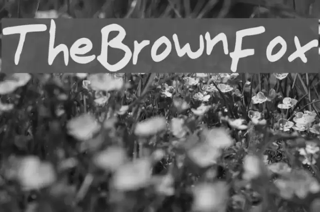 The_Brown_Fox Font examples