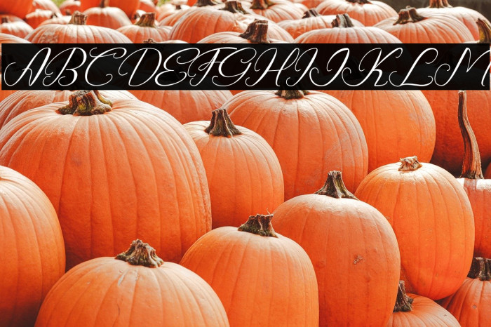 The_Khallid Example 2