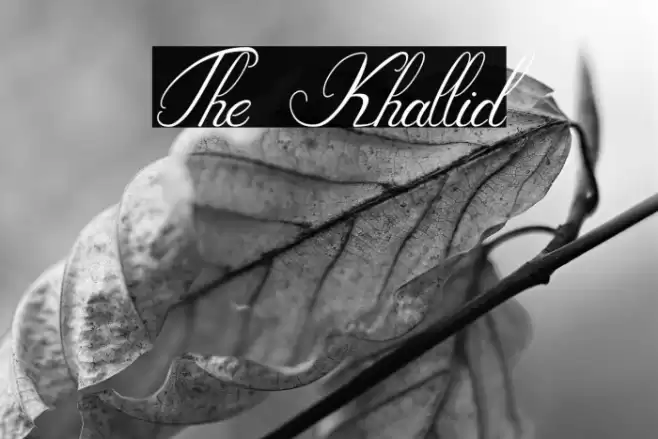 The_Khallid Font examples
