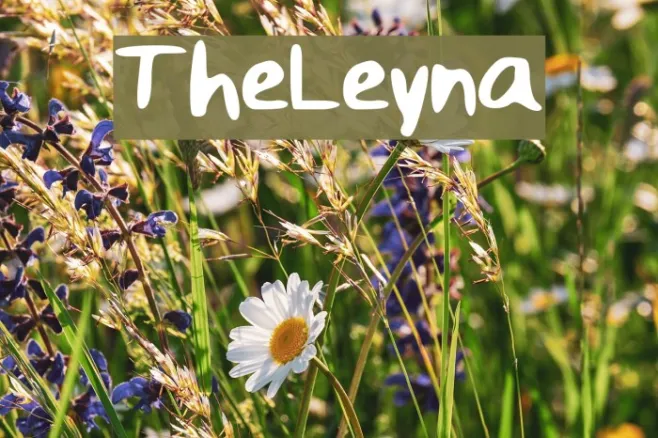 The_Leyna Example 3