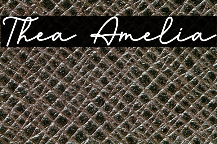 Thea Amelia Example 1