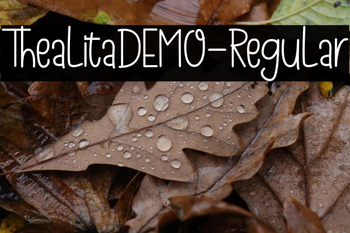 ThealitaDEMO-Regular Example 3