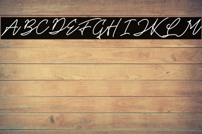 Theandous Free For Personal Use Example 2