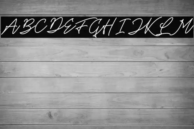 Theandous Free For Personal Use Font examples