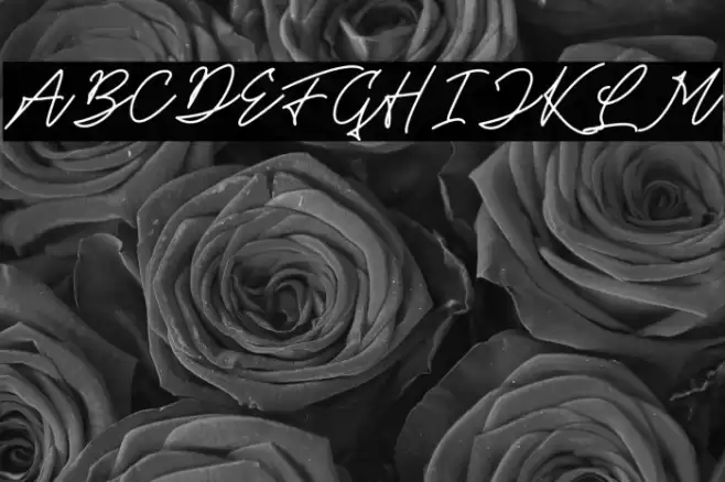 Theandous Free For Personal Use Font examples