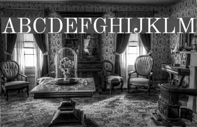 Theano Modern Regular Font examples