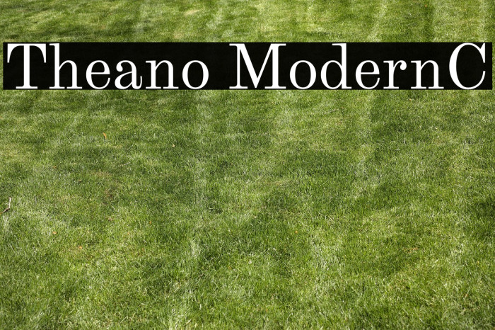 Theano ModernC Example 2