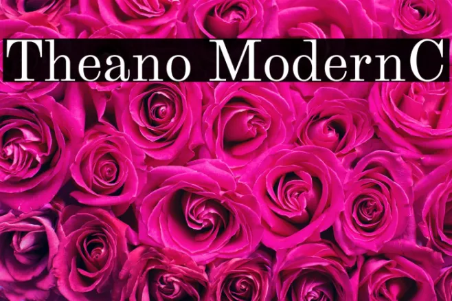 Theano ModernC Example 3