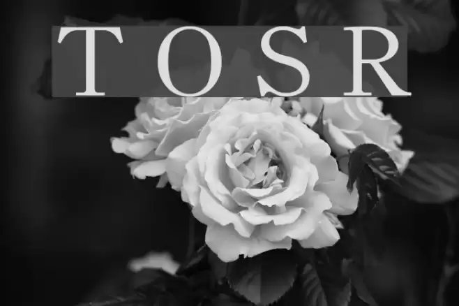 Theano Old Style Regular Font examples