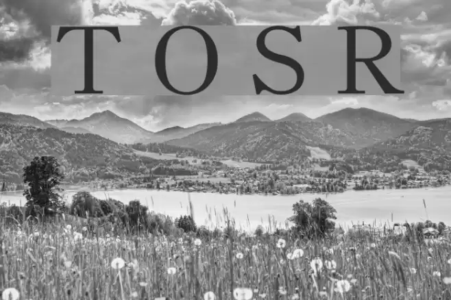 Theano Old Style Regular Font examples