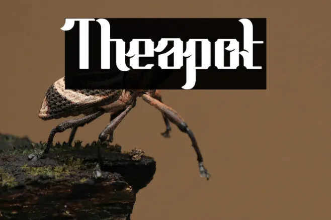 Theapot Example 3