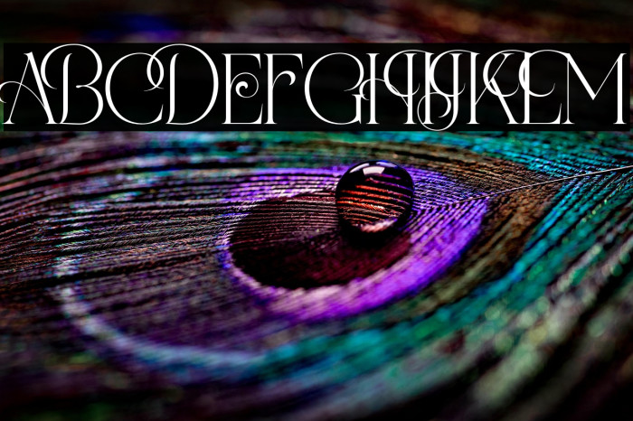 TheaterBrillionDEMO-Regular Example 1