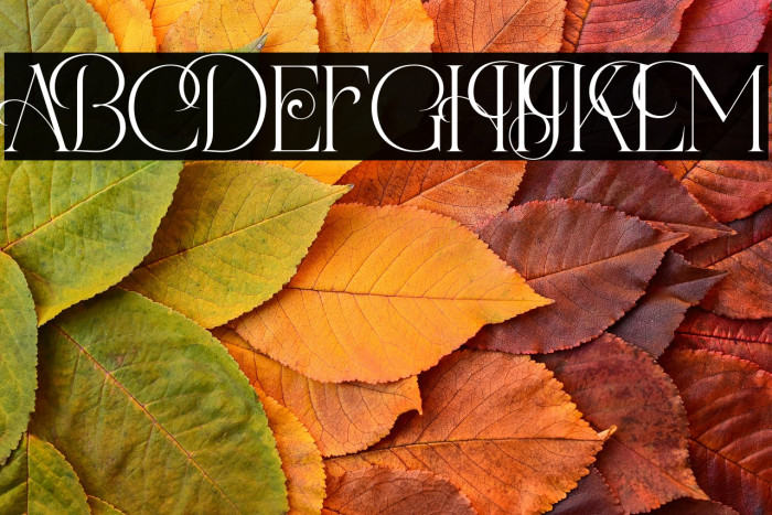 TheaterBrillionDEMO-Regular Example 2