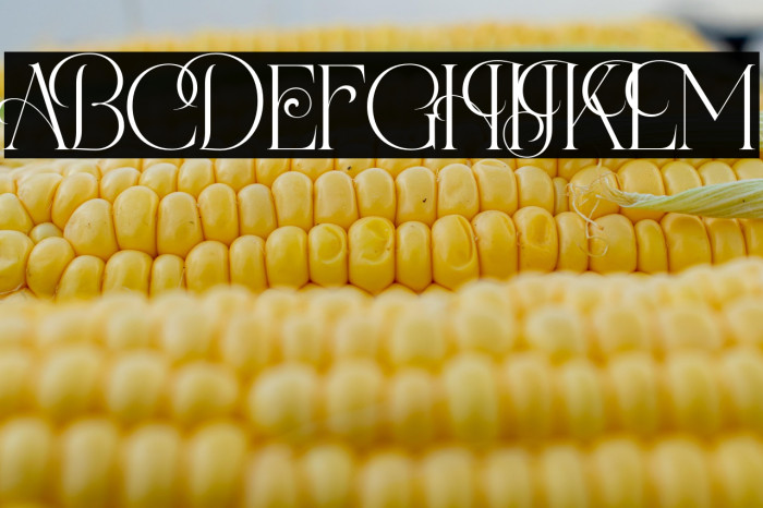 TheaterBrillionDEMO-Regular Example 3