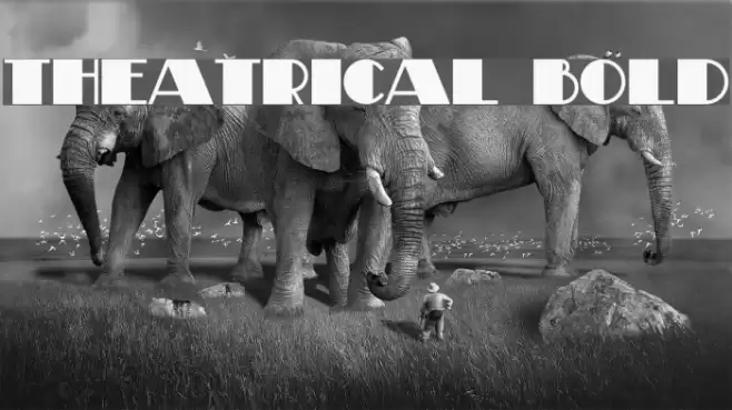 Theatrical Bold Font examples