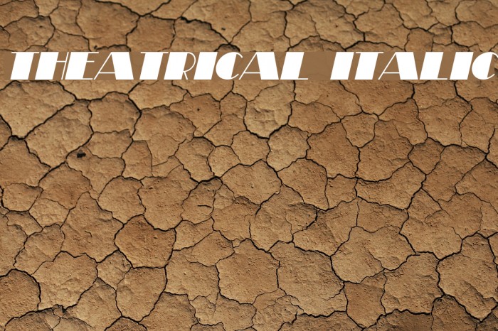 Theatrical Italic Font examples