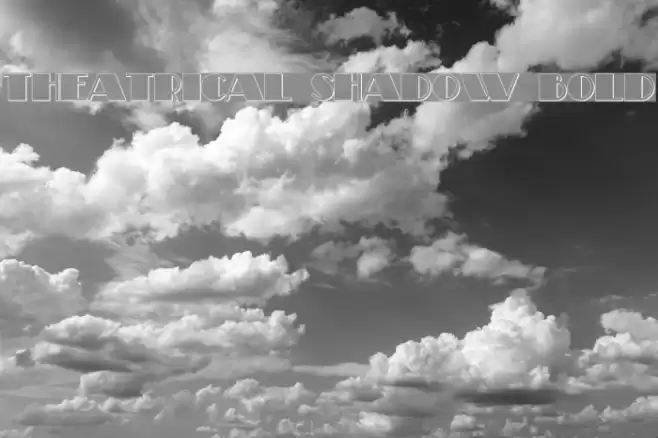 Theatrical Shadow Bold Polices examples