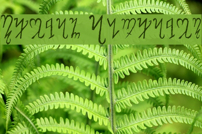 Theban Alphabet Font examples