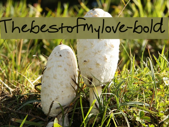 Thebestofmylove-bold Example 2