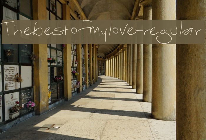 Thebestofmylove-regular Font examples