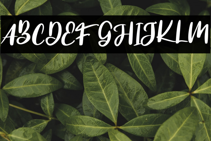 TheblogmalogFREE Example 2