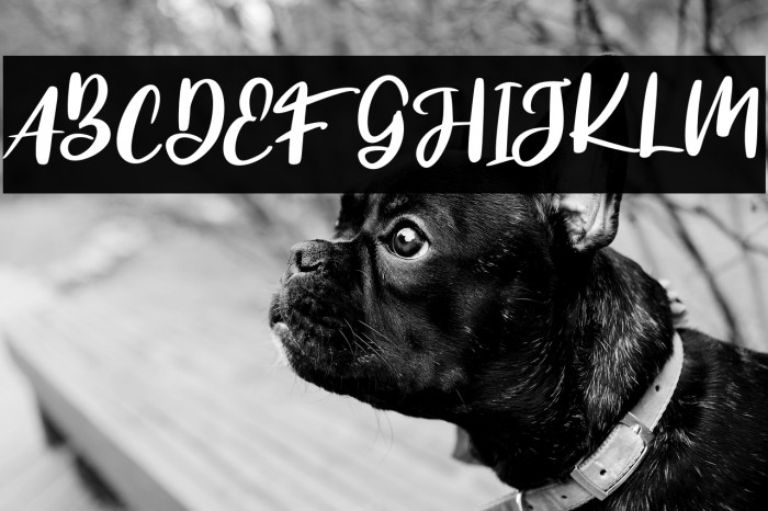 TheblogmalogFREE Example 3