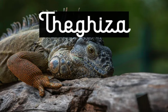 Theghiza Example 3
