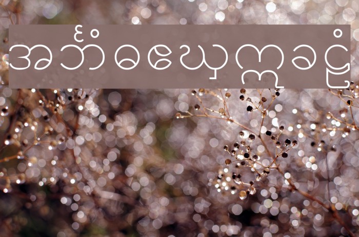 Theiree Font examples
