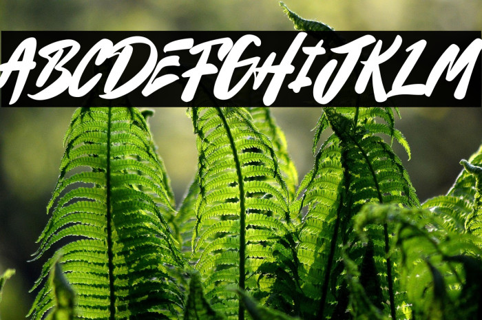 Thelawes DEMO Example 2