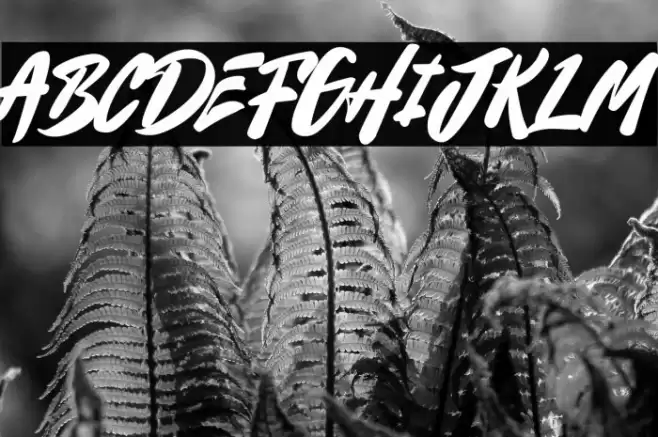 Thelawes DEMO Font examples