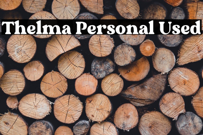 Thelma Personal Used Example 3