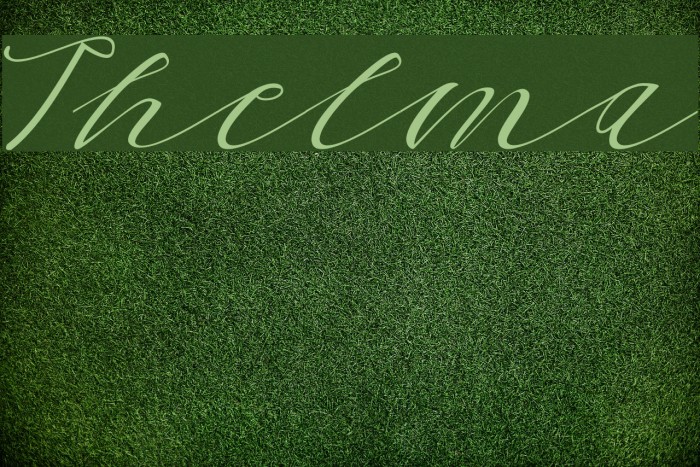 Thelma Font examples