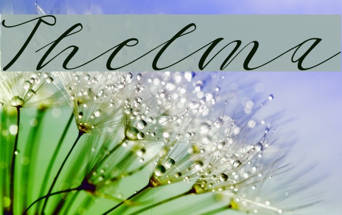 Thelma Font examples