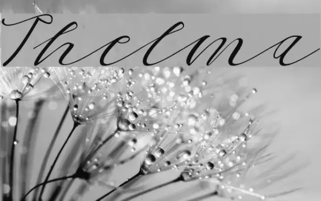 Thelma Font examples