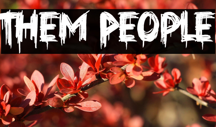 Them People Example 1