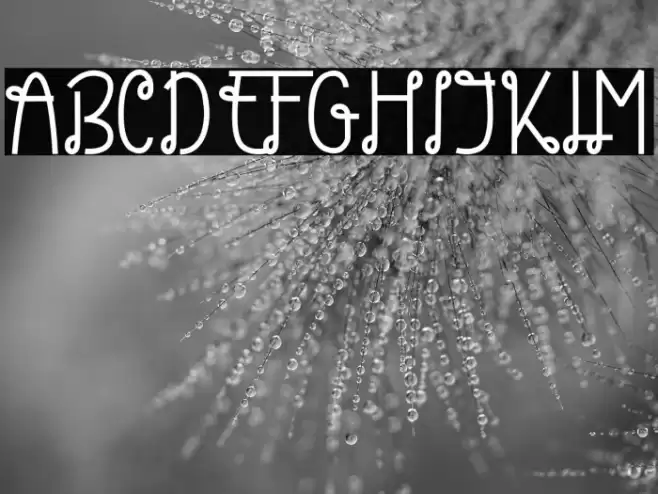 Themarie Font examples