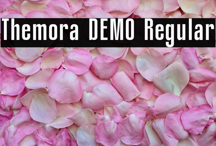 Themora DEMO Regular Example 1