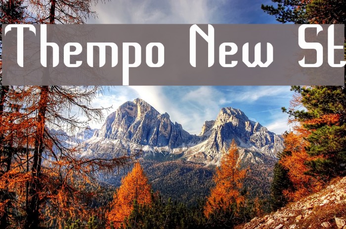 Thempo New St Font examples