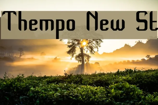 Thempo New St Example 3