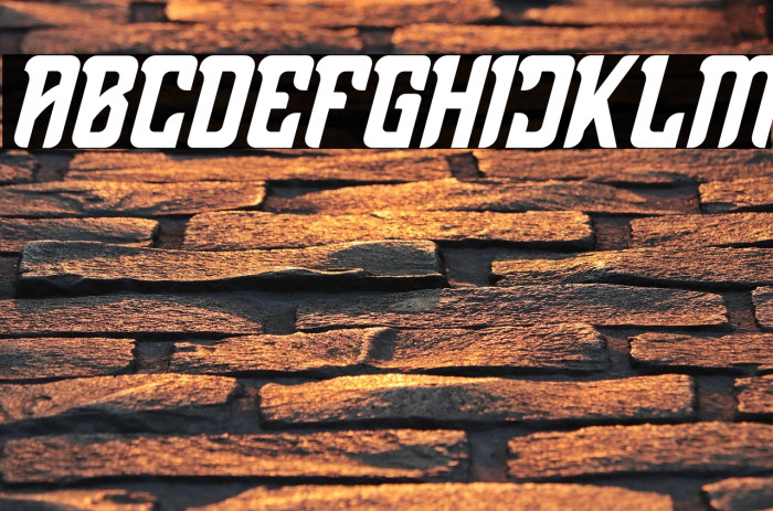 Thenacious Italic Example 2