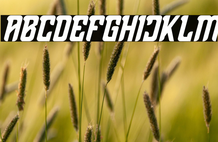 Thenacious Italic Example 3