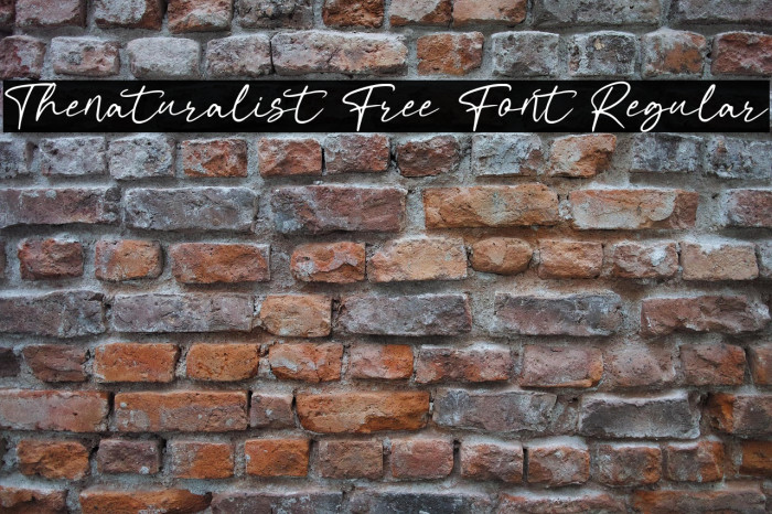 Thenaturalist Free Font Regular Example 1