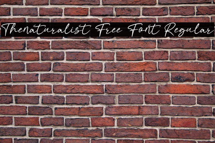 Thenaturalist Free Font Regular Example 2