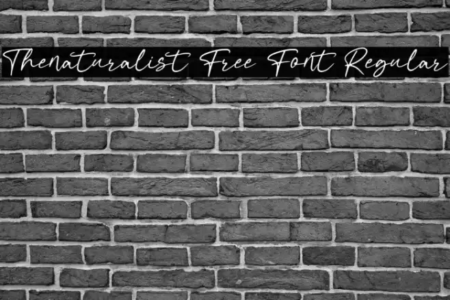 Thenaturalist Free Font Regular Font examples