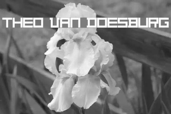 Theo Van Doesburg خط examples